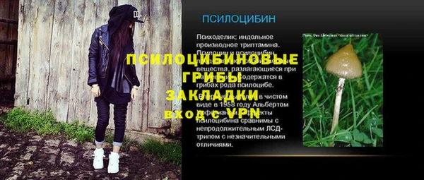 гидра Александровское
