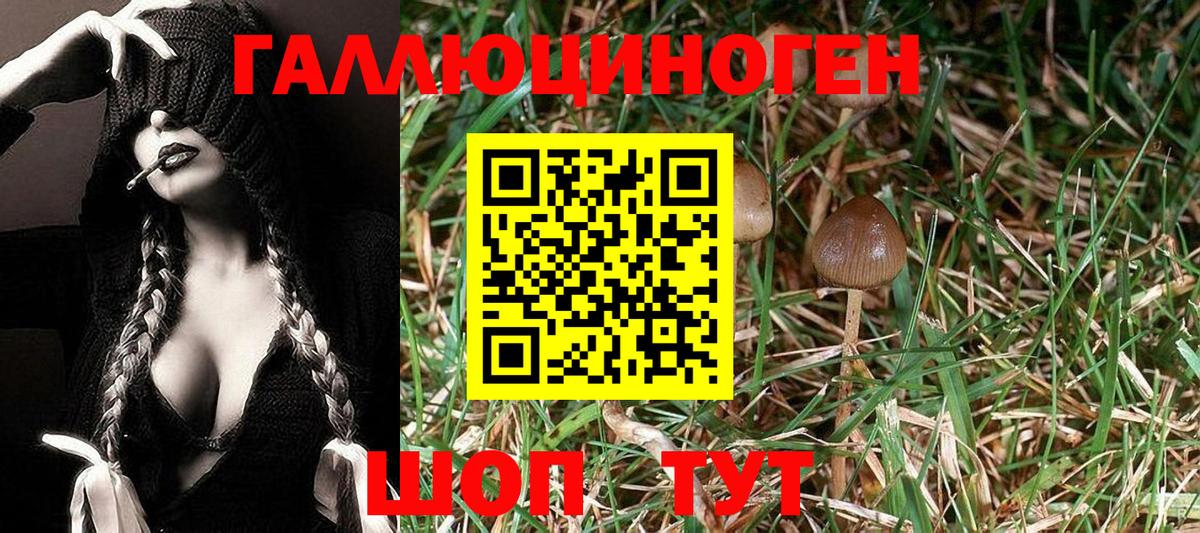 Златоуст  Псилоцибиновые грибы MAGIC MUSHROOMS  Вход с VPN 